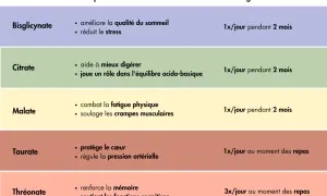 Tableau comparatif des formes de magnésium et de leurs bienfaits : bisglycinate pour le sommeil/stress, citrate pour la digestion, malate pour la fatigue/crampes, taurate pour le cœur/pression, thréonate pour la mémoire.