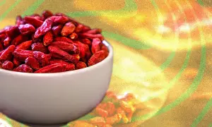 Un bol de baies de goji rouges séchées, symbolisant les nombreux baie de goji bienfaits pour la santé.