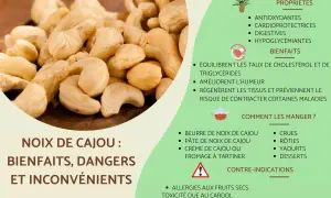 Gros plan sur des noix de cajou, avec des informations sur leurs bienfaits et le noix de cajou danger potentiel dû au cardol.