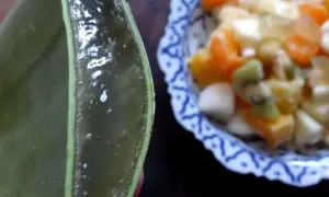 Gélifiant transparent extrait d'une feuille d'aloe vera comestible, prêt à être mélangé à une salade de fruits colorée.