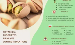 Gros plan sur des pistaches décortiquées, révélant leurs bienfaits pour la santé : antioxydantes, anti-inflammatoires et cognitives.