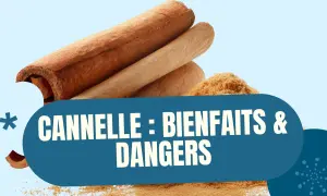Bâtonnets et poudre de cannelle, avec le texte "Cannelle : Bienfaits & Dangers", évoquant les dangers de la cannelle.