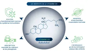 La vitamine D3, essentielle pour l'absorption du calcium, soutient le système immunitaire, la fonction musculaire et le développement osseux.