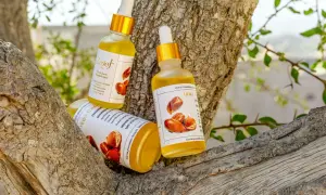 Trois flacons d'huile d'argan, aux multiples huile d'argan bienfaits, reposent sur une branche d'arbre.