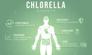 La chlorella aide à détoxifier, soutient les défenses immunitaires, améliore la vitalité et favorise une flore intestinale saine, réduisant ainsi le **chlorella ventre gonflé**.