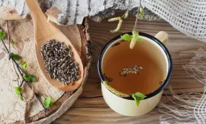 Graines de bouleau sur une cuillère en bois et dans une tasse de tisane. Un aliment qui tue les vers, utilisé en médecine traditionnelle.