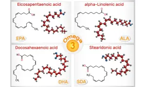 Représentation des acides gras oméga 3 : EPA, DHA, ALA et SDA. Ces molécules sont essentielles pour la santé.