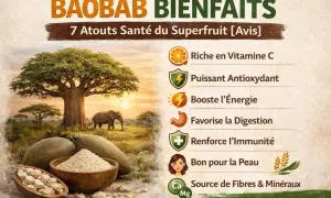 Le baobab, un superfruit aux nombreux bienfaits, est riche en vitamine C, antioxydant, booste l'énergie, favorise la digestion, renforce l'immunité et est bon pour la peau.