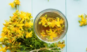 Infusion de millepertuis dans un verre, à côté d'un bouquet de fleurs. Une alternative naturelle à la pilule.