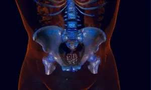 Imagerie 3D du bassin masculin, montrant la colonne vertébrale et les os pelviens. Utile pour comprendre les prostate symptômes et traitements naturels.