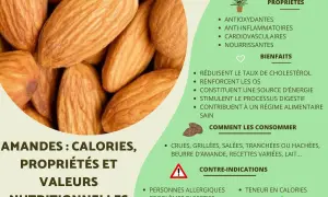 Gros plan sur des amandes, mettant en avant leurs nombreux bienfaits : antioxydantes, anti-inflammatoires, cardiovasculaires et nourrissantes.