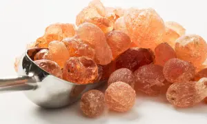 Grains ambrés de gomme arabique, aussi appelée fibre d'acacia, dans une cuillère métallique.