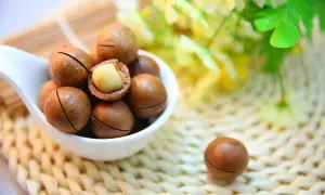 Cuillère de noix de macadamia, une ouverte révélant son intérieur crémeux. Découvrez les noix de macadamia bienfaits pour une alimentation saine.