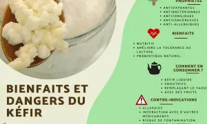 Le kéfir est-il un probiotique ? Cette image détaille ses propriétés, ses bienfaits comme probiotique naturel, et comment le consommer.
