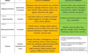 Tableau des aliments riches et pauvres en FODMAP. Découvrez les fruits sans FODMAP comme la banane, le kiwi, les agrumes, etc.