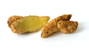 Racines de galanga coupées, montrant leur chair jaune pâle. Le galanga est parfois étudié pour ses bienfaits potentiels sur l'hypertension.