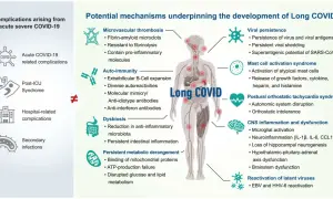 Schéma des mécanismes du covid long : thrombose, auto-immunité, dysbiose, persistance virale, activation mastocytaire, POTS, inflammation SNC, réactivation virale. Pistes pour le covid long traitement.