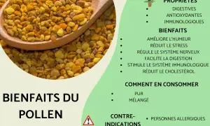 Pollen d'abeille sur une cuillère en bois, avec une liste de ses bienfaits pour la santé.