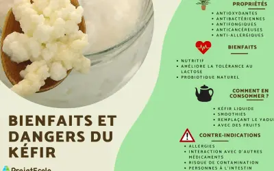 Le kéfir est-il un probiotique ? Cette image détaille ses propriétés, ses bienfaits comme probiotique naturel, et comment le consommer.