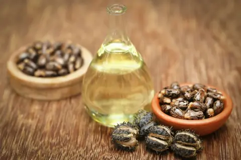 Huile de ricin, extraite des graines, est présentée dans un flacon. Des graines et des capsules de ricin sont disposées autour.