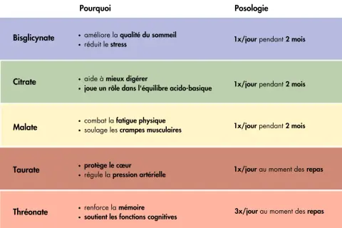 Tableau comparatif des formes de magnésium et de leurs bienfaits : bisglycinate pour le sommeil/stress, citrate pour la digestion, malate pour la fatigue/crampes, taurate pour le cœur/pression, thréonate pour la mémoire.