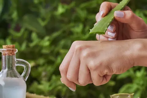 Gel d'aloe vera appliqué sur la peau pour apaiser une piqûre de moustique. Un flacon d'huile est à côté.