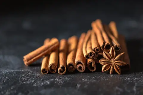 Bâtonnets de cannelle et anis étoilé sur fond sombre, évoquant des saveurs chaudes et réconfortantes, parfaites avec du miel.