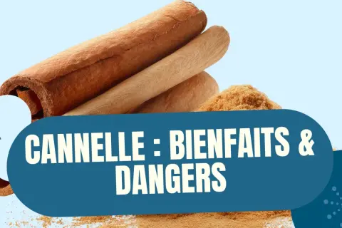Bâtonnets et poudre de cannelle, avec le texte "Cannelle : Bienfaits & Dangers", évoquant les dangers de la cannelle.