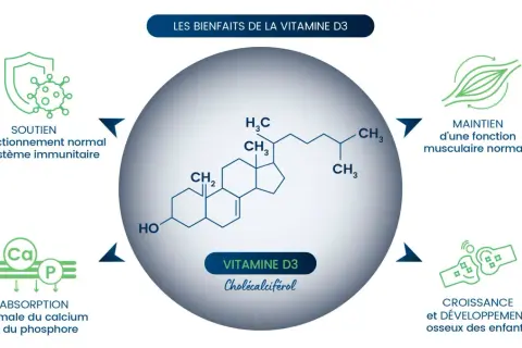 La vitamine D3, essentielle pour l'absorption du calcium, soutient le système immunitaire, la fonction musculaire et le développement osseux.