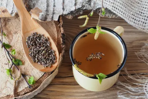 Graines de bouleau sur une cuillère en bois et dans une tasse de tisane. Un aliment qui tue les vers, utilisé en médecine traditionnelle.