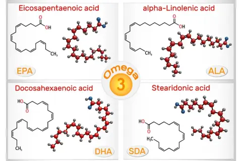 Représentation des acides gras oméga 3 : EPA, DHA, ALA et SDA. Ces molécules sont essentielles pour la santé.