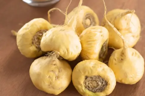 Racines de maca jaunes, prêtes à offrir un maca effet immédiat.
