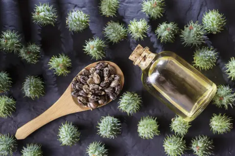 Graines de ricin, fruits épineux et une fiole d'huile. Attention, l'huile de ricin danger est réelle si mal utilisée.