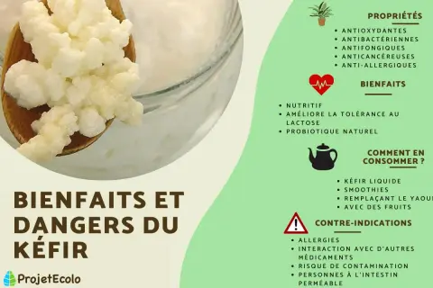 Le kéfir est-il un probiotique ? Cette image détaille ses propriétés, ses bienfaits comme probiotique naturel, et comment le consommer.