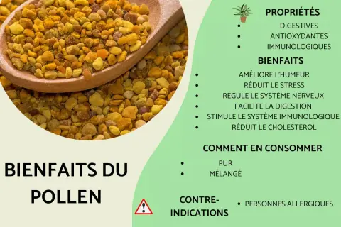 Pollen d'abeille sur une cuillère en bois, avec une liste de ses bienfaits pour la santé.
