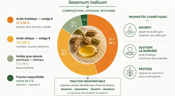 L'huile de sésame, riche en acides gras et antioxydants, nourrit, soutient la barrière cutanée et protège. Ses bienfaits sont multiples.