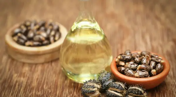 Huile de ricin, extraite des graines, est présentée dans un flacon. Des graines et des capsules de ricin sont disposées autour.