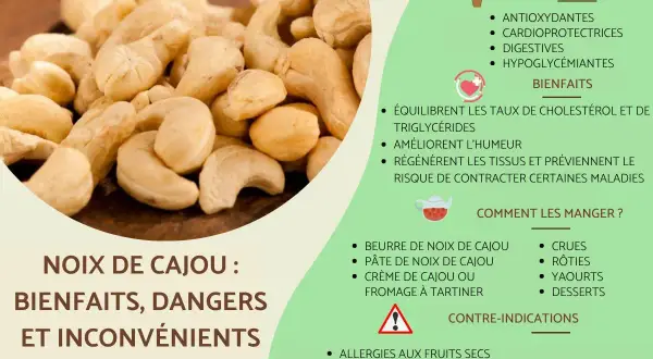 Gros plan sur des noix de cajou, avec des informations sur leurs bienfaits et le noix de cajou danger potentiel dû au cardol.