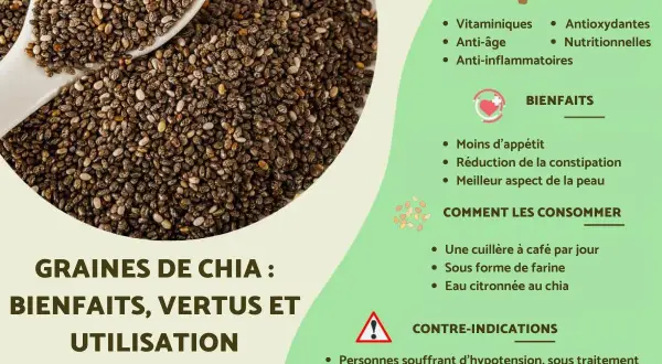 Graines de chia : une cuillère à café par jour pour leurs bienfaits, vertus et utilisations. Antioxydantes, anti-âge, nutritionnelles.