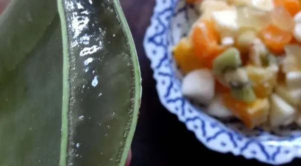 Gélifiant transparent extrait d'une feuille d'aloe vera comestible, prêt à être mélangé à une salade de fruits colorée.