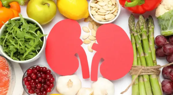 Des aliments sains entourent des reins en papier rouge. La question "le thé est-il mauvais pour les reins ?" est posée.