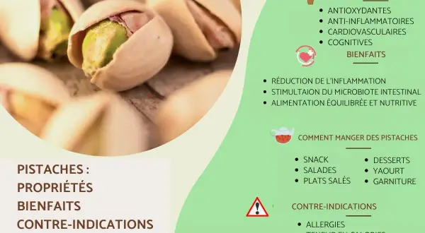 Gros plan sur des pistaches décortiquées, révélant leurs bienfaits pour la santé : antioxydantes, anti-inflammatoires et cognitives.