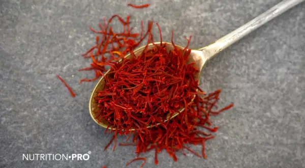 Une cuillère remplie de stigmates de safran rouge vif sur fond gris. Le safran est une épice précieuse, mais il existe des contre-indications à son usage.