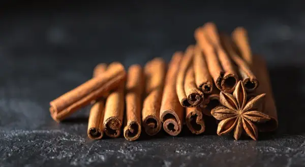 Bâtonnets de cannelle et anis étoilé sur fond sombre, évoquant des saveurs chaudes et réconfortantes, parfaites avec du miel.