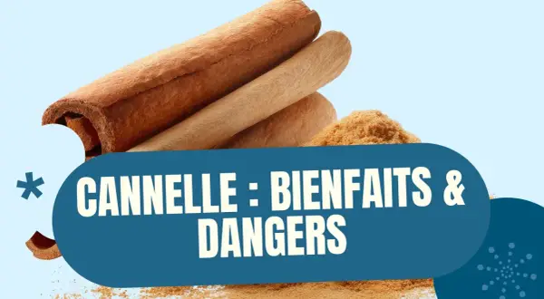 Bâtonnets et poudre de cannelle, avec le texte "Cannelle : Bienfaits & Dangers", évoquant les dangers de la cannelle.