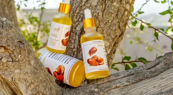 Trois flacons d'huile d'argan, aux multiples huile d'argan bienfaits, reposent sur une branche d'arbre.
