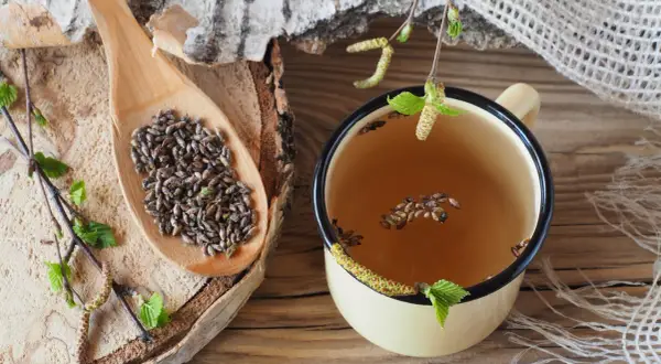 Graines de bouleau sur une cuillère en bois et dans une tasse de tisane. Un aliment qui tue les vers, utilisé en médecine traditionnelle.