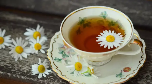 Une tasse de thé à la camomille, ornée d'une marguerite, sur une soucoupe décorée. Une belle illustration de la différence entre thé et infusion.