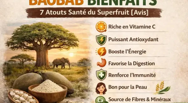 Le baobab, un superfruit aux nombreux bienfaits, est riche en vitamine C, antioxydant, booste l'énergie, favorise la digestion, renforce l'immunité et est bon pour la peau.