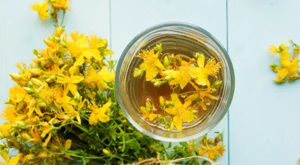 Infusion de millepertuis dans un verre, à côté d'un bouquet de fleurs. Une alternative naturelle à la pilule.